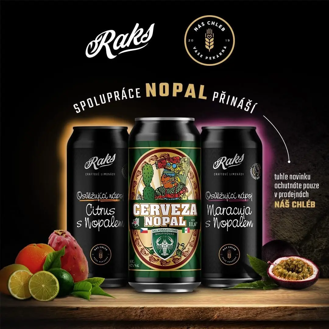 Společný projekt RAKS
